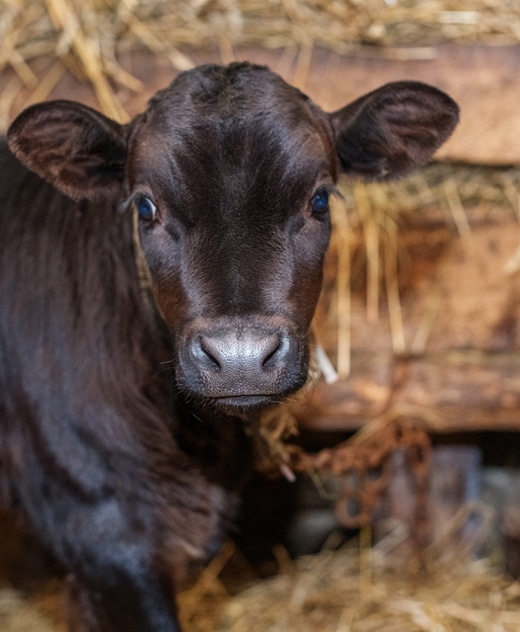 What Our Clients Are Saying